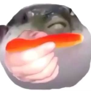 Meet your Posher, Manuel